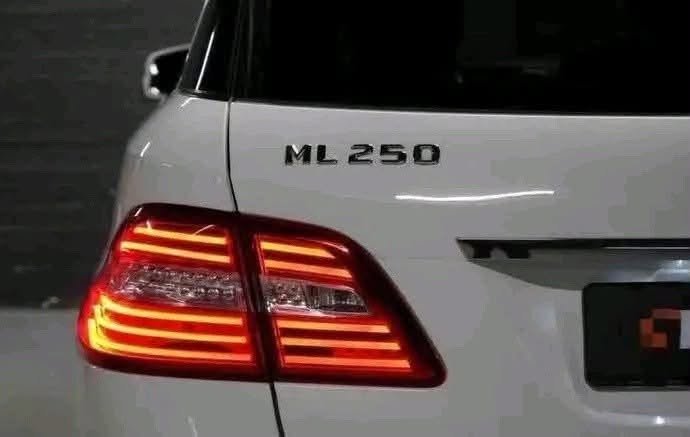 Mercedes-Benz ML 250 BlueTEC 4MATIC - image 10