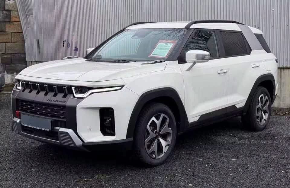 SsangYong Torres - image 6